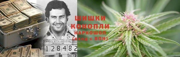 молекула духа Алзамай