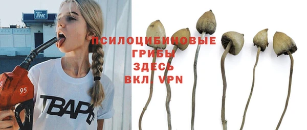 молекула духа Алзамай