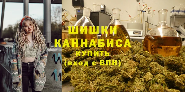 молекула духа Алзамай