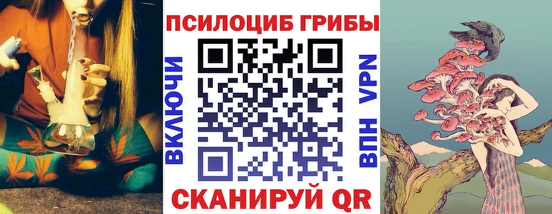 Галлюциногенные грибы прущие грибы  Киселёвск 